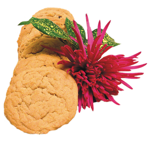 Market Made Peanut Butter Cookies - Scratch Baked