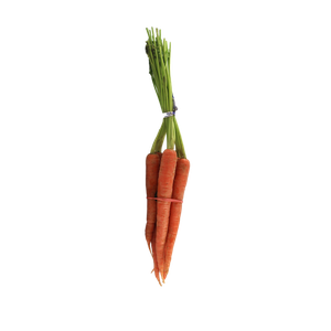 Carrot, Bunch