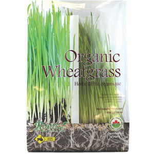 Wheatgrass, Organic