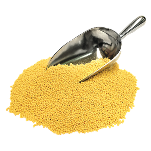 Organic Golden Couscous