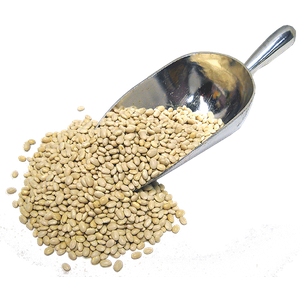 Beans Navy Organic