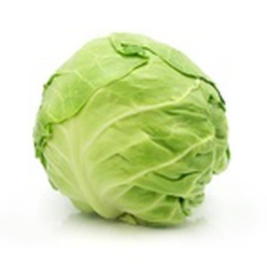 Cabbage, Green Organic