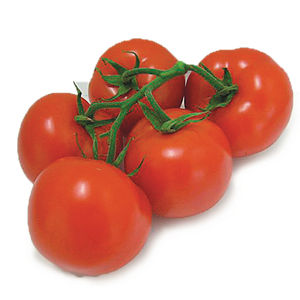 Tomato, on the Vine Organic