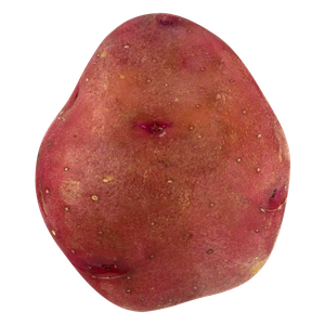 Potato, Red