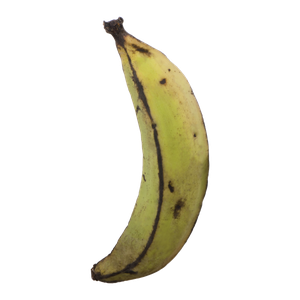 Banana, Plantain