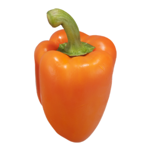 Pepper, Orange Coloured Hothouse