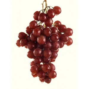 Grape, Red Seedless