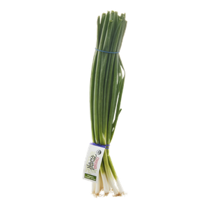 Onion, Green Bunch