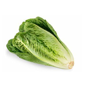 Lettuce, Romaine Bunch
