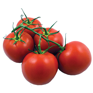 Tomato, Hh on the Vine