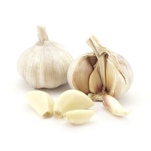 Garlic, Mesh