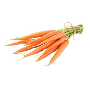 Carrot, Bunch Organic
