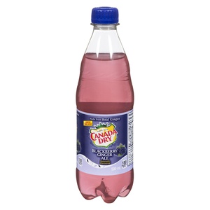 Canada Dry Blackberry Ginger Ale