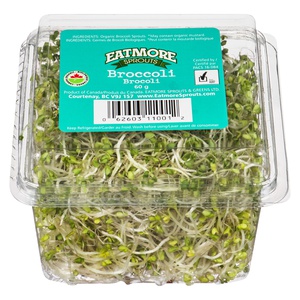 Eat More Broccoli Organic Sprouts