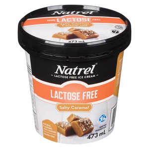 Natrel Lactose Free Ice Cream Salty Caramel