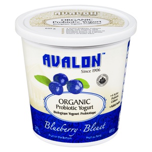 Avalon Organic Yogurt Blueberry