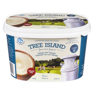 Tree Island Grass-Fed Plain Cream Top Yogurt