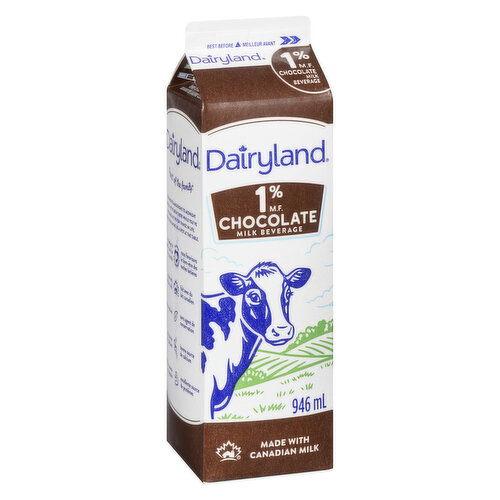 DAIRYLAND 1% CHOCOLATE MILK